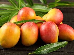 Mango Sindhura